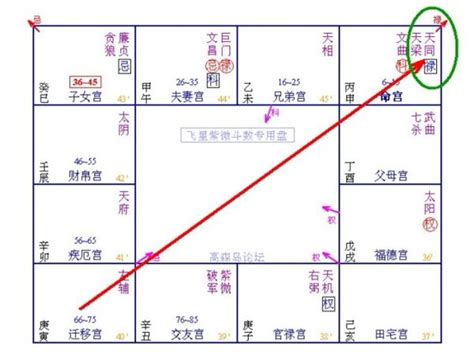 自化口訣|自化忌跟生年忌要怎麼看？是像先天跟後天的差別嗎？